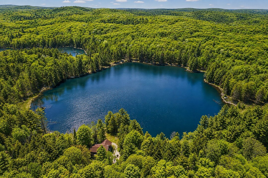 Aerial view of the lake and woodland at Domaine du Lac Doux, Cantley